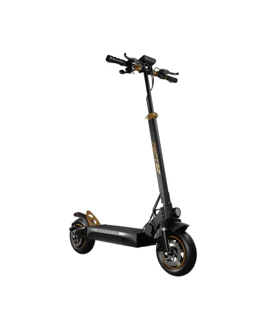 Hulajnoga elektryczna RUPTOR R1 Lite V2 Miedziany - 500W, 60km zasięgu